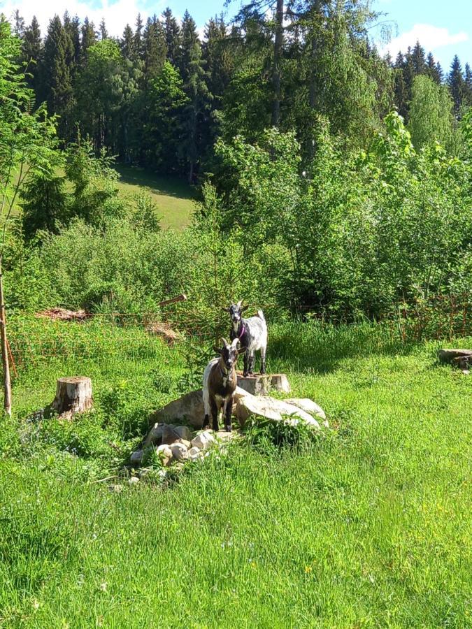 Wieser Séjour chez l'habitant