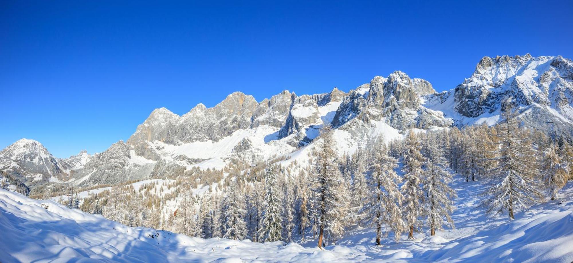 Wieser Ramsau am Dachstein
